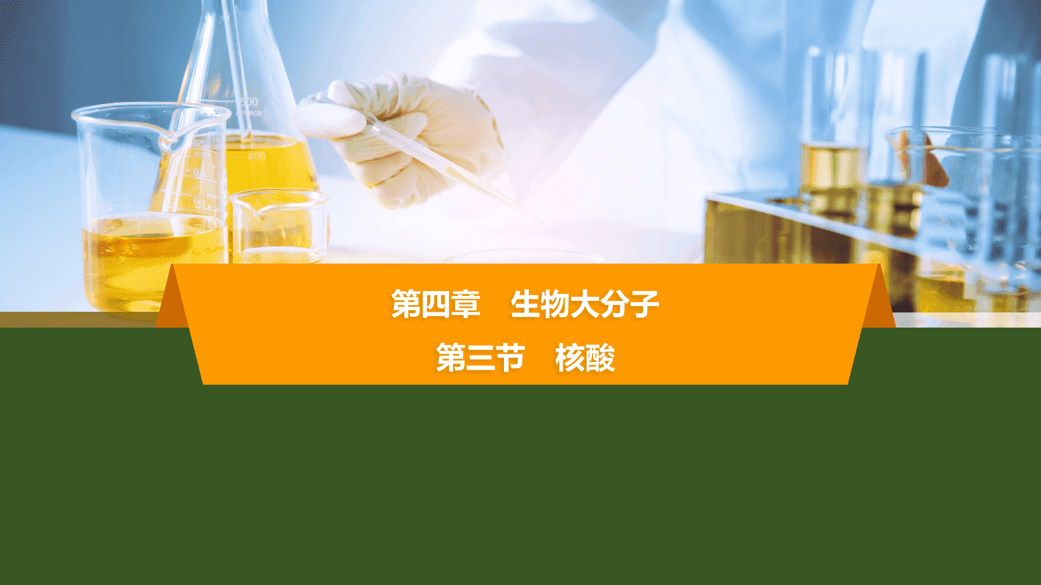 【课件】2026年春湖北省长江作业本高中化学人教版《有机化学基础》18 第四章第三节核酸