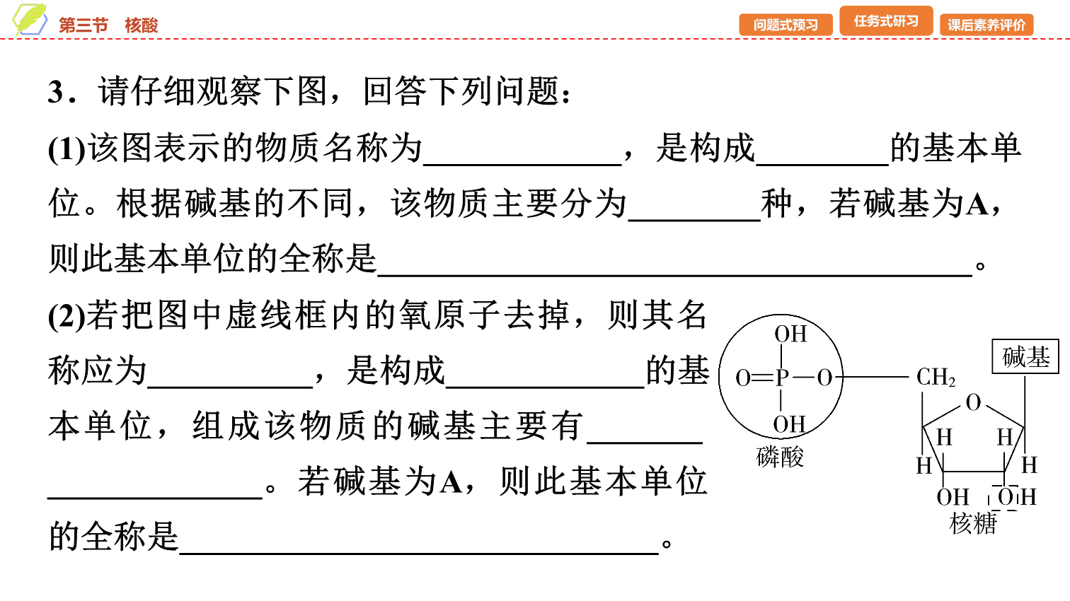 【课件】2026年春湖北省长江作业本高中化学人教版《有机化学基础》18 第四章第三节核酸