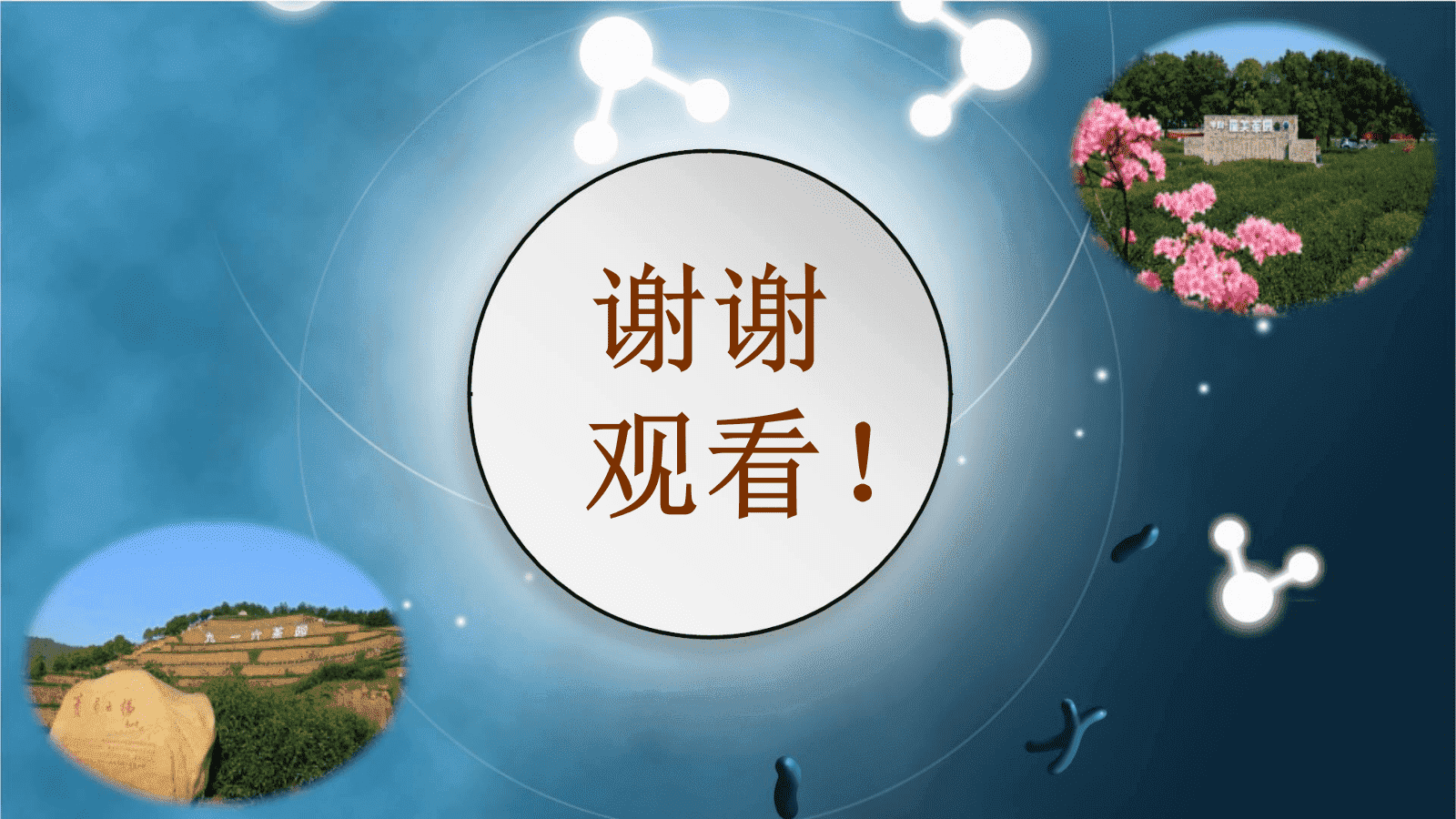【优质课件+教学设计】人教版高中化学选择性必修3第一章《有机化合物的结构特点与研究方法——有机探索之品味小兰花提取茶叶中咖啡碱》 【优质课件+教学设计】人教版高中化学选择性必修3第一章《有机化合物的结构特点与研究方法——有机探索之品味小兰花提取茶叶中咖啡碱》
