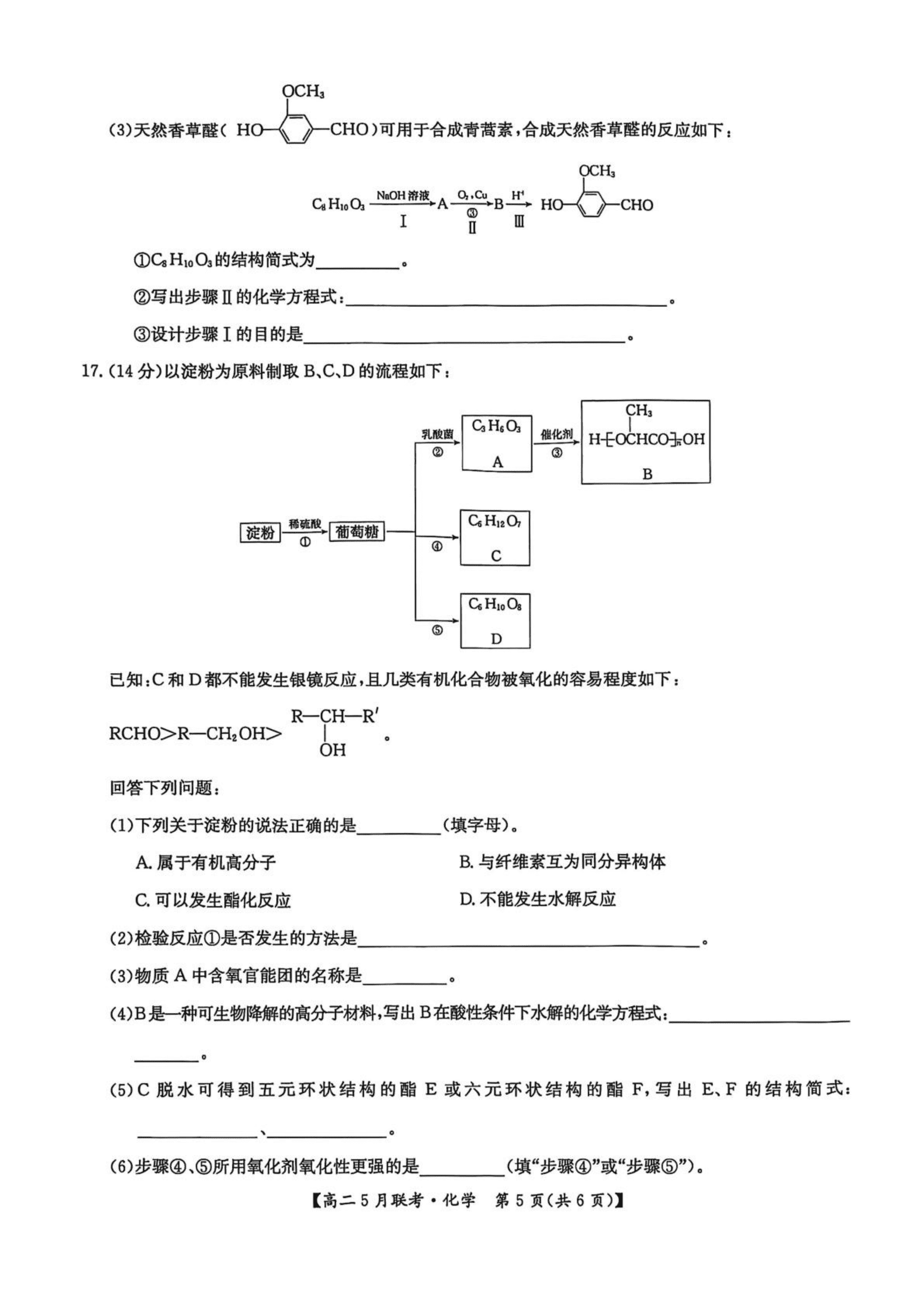 河南省洛阳市强基联盟2025年高二下学期5月月考化学试卷含答案