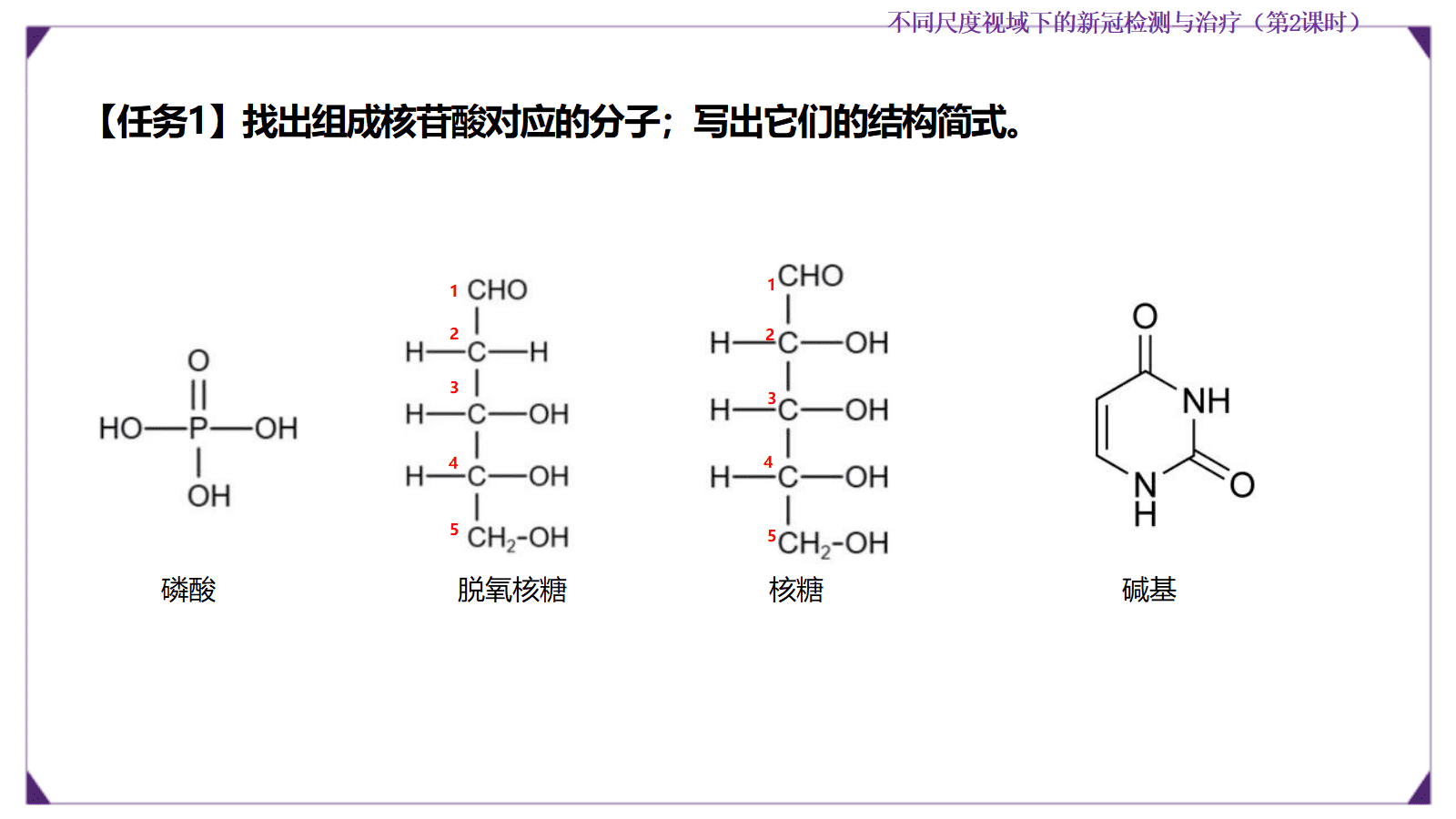 【优质课成套资料】高中化学人教版选择性必修3《有机化学基础》《生物大分子及合成高分子》大单元教学设计优质课