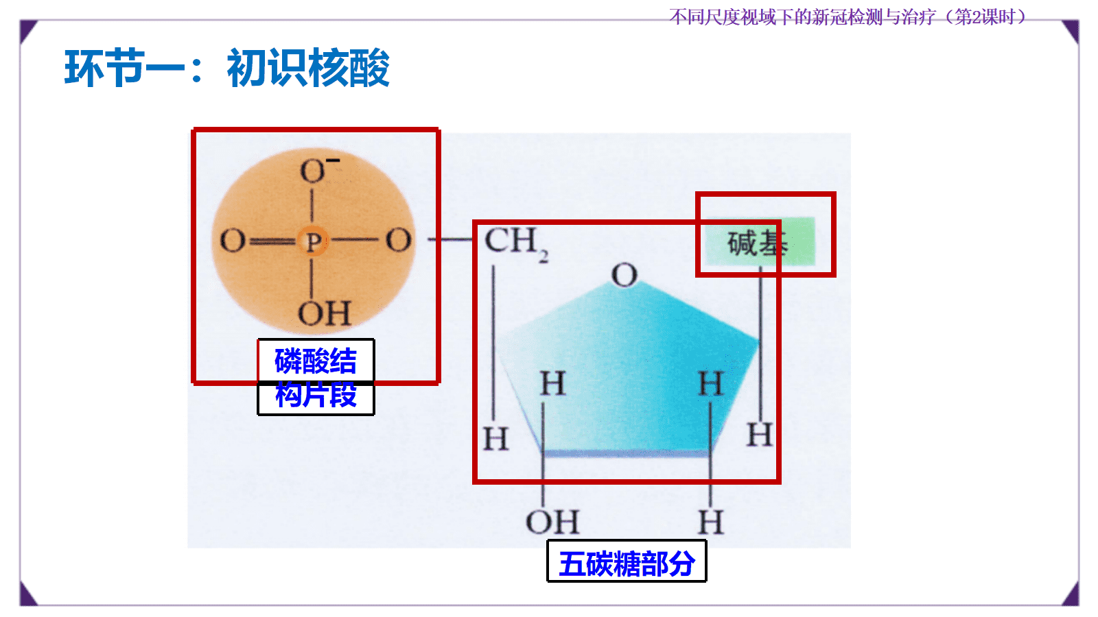 【优质课成套资料】高中化学人教版选择性必修3《有机化学基础》《生物大分子及合成高分子》大单元教学设计优质课