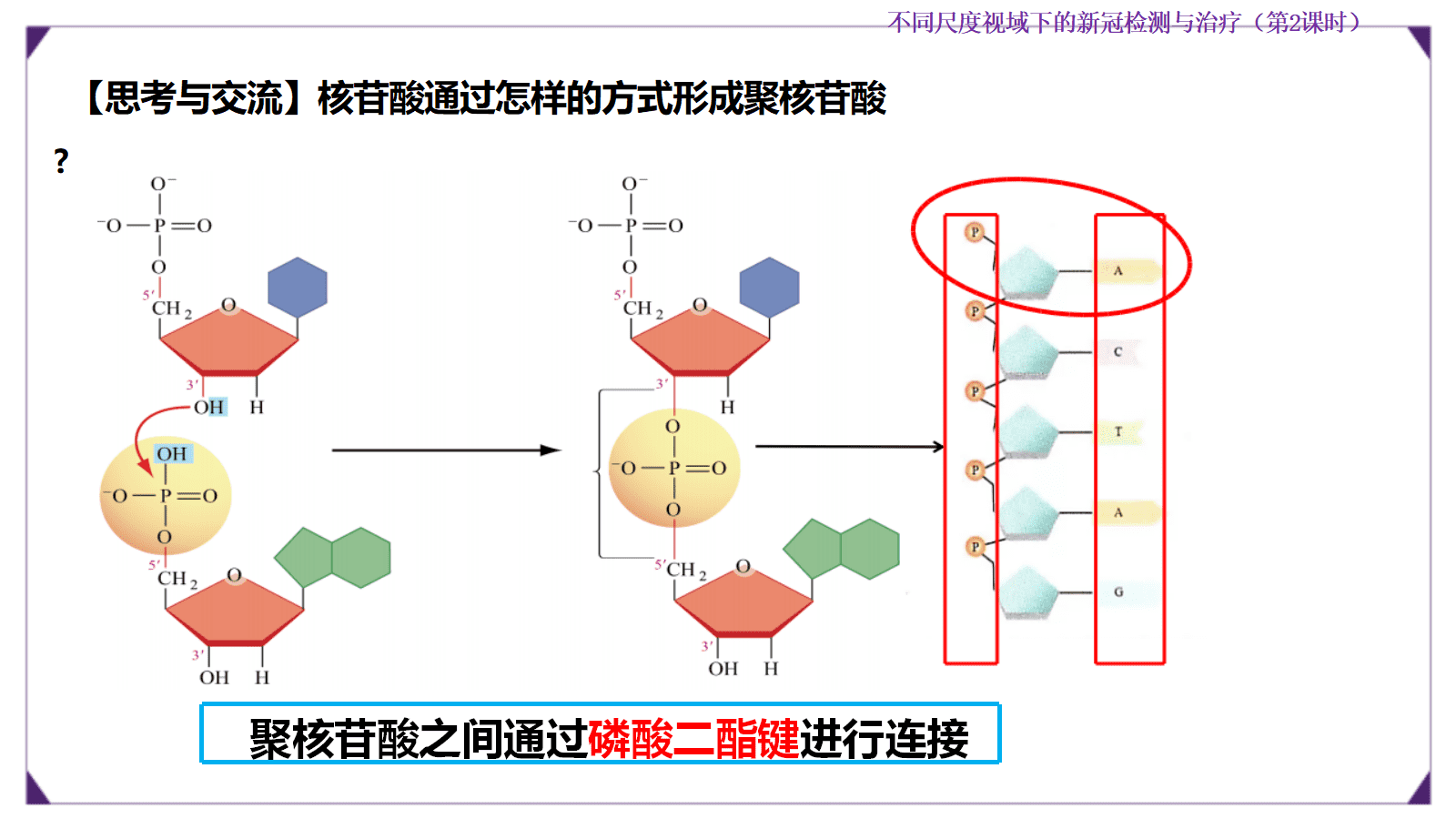 【优质课成套资料】高中化学人教版选择性必修3《有机化学基础》《生物大分子及合成高分子》大单元教学设计优质课