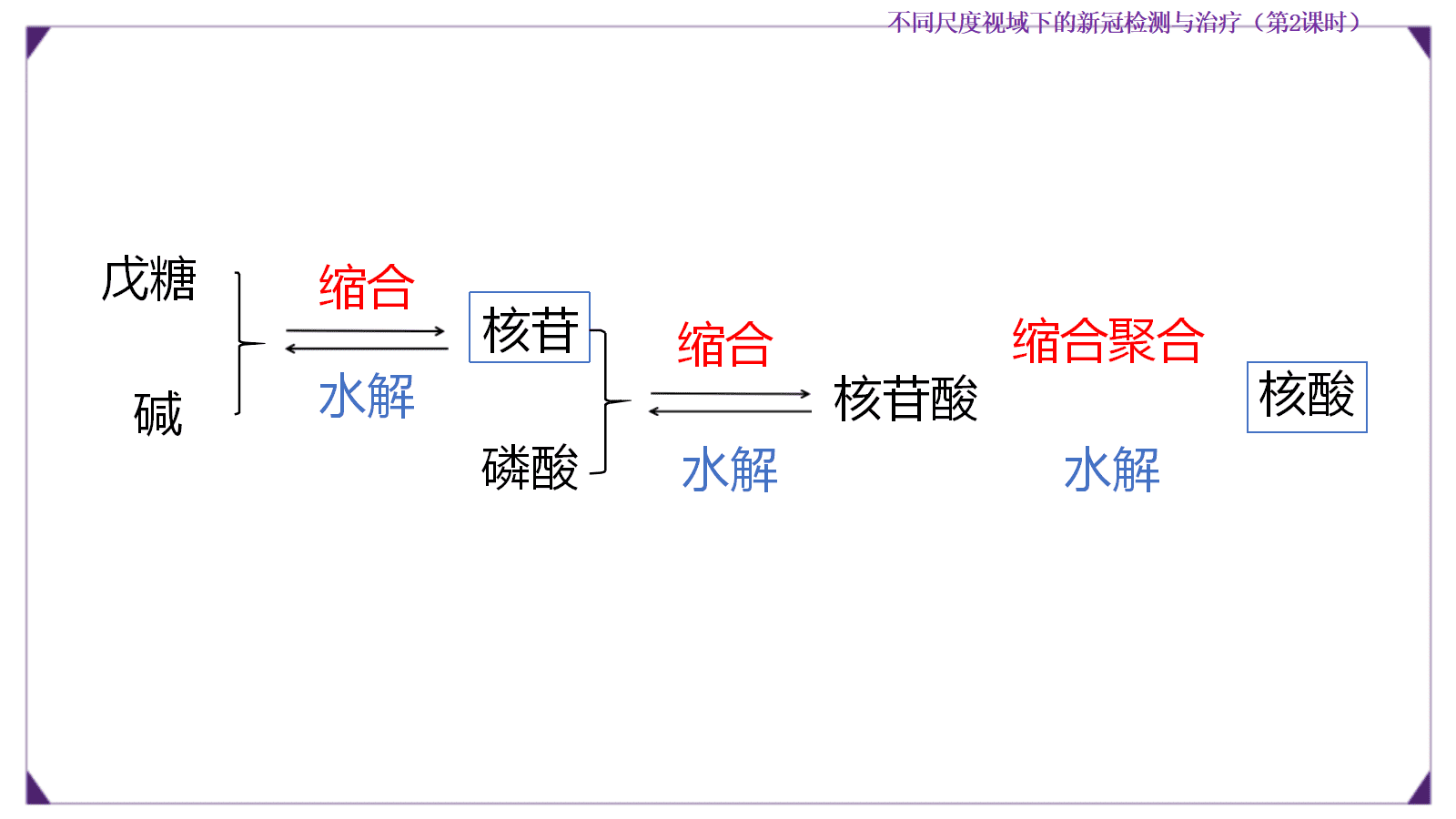 【优质课成套资料】高中化学人教版选择性必修3《有机化学基础》《生物大分子及合成高分子》大单元教学设计优质课