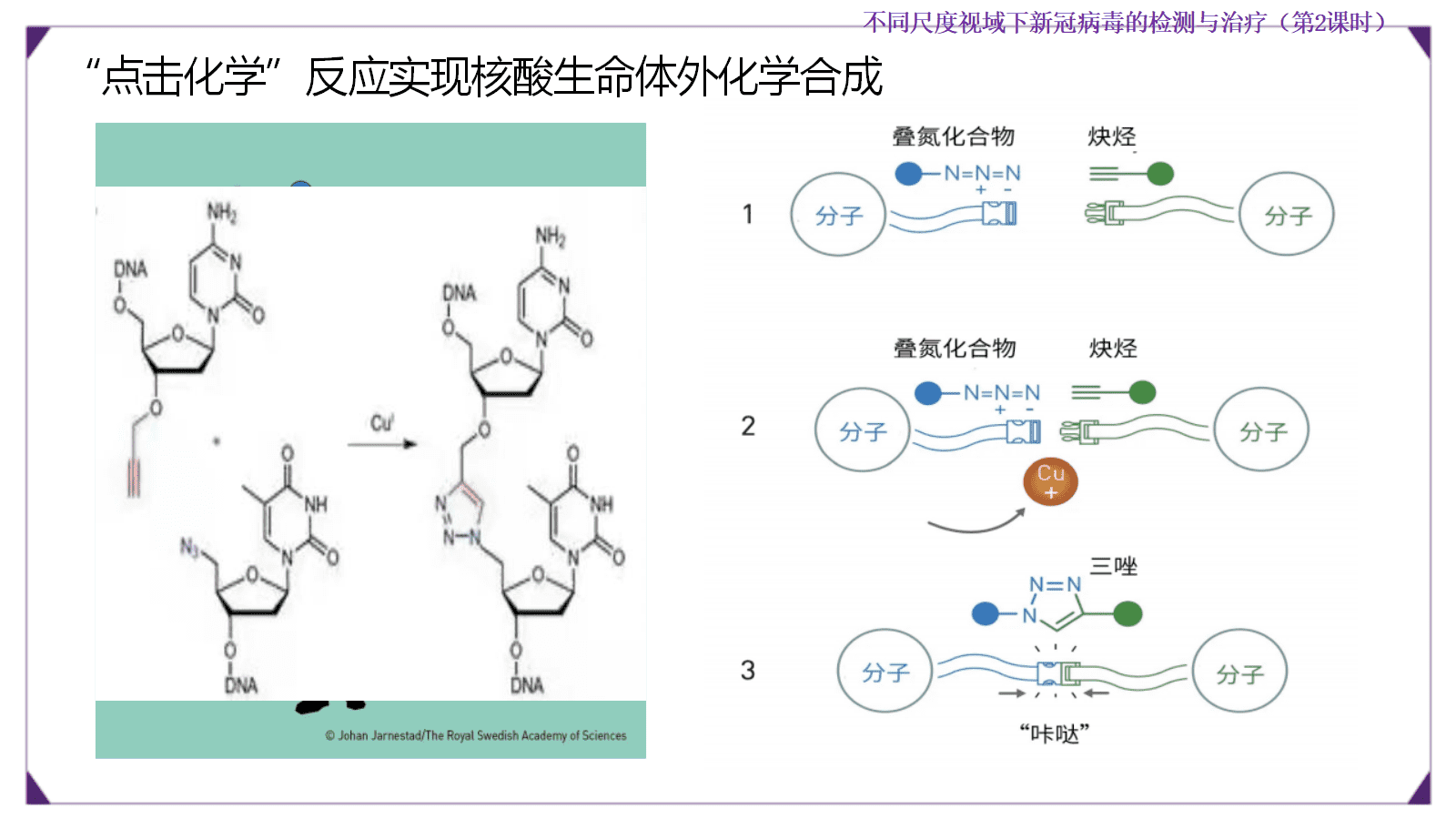 【优质课成套资料】高中化学人教版选择性必修3《有机化学基础》《生物大分子及合成高分子》大单元教学设计优质课