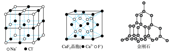 精品练习-高二化学学科素养能力竞赛专题训练第21讲—金属晶体与离子晶体（解析版）