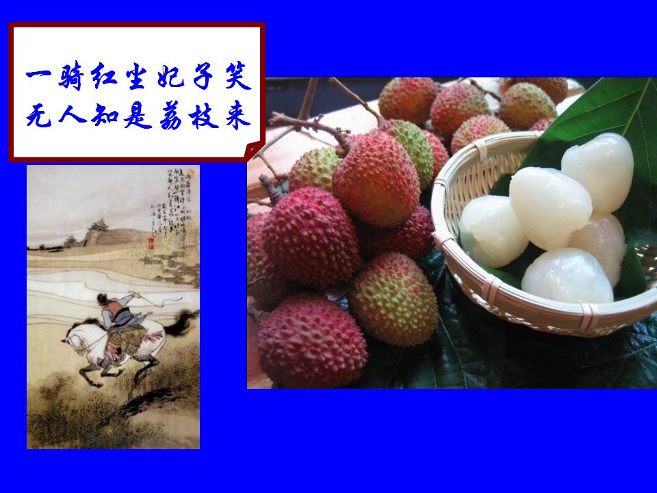【优质课】全国高中化学优质课大赛课题《乙烯》新疆兵团二中王兰兰
