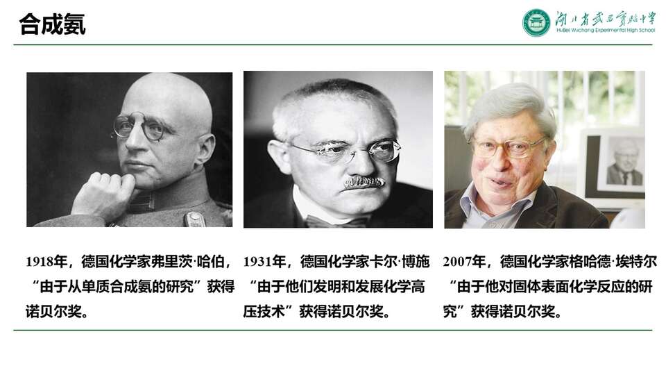 【优质课件+评课课件】化学反应条件选择与化学反应条件优化