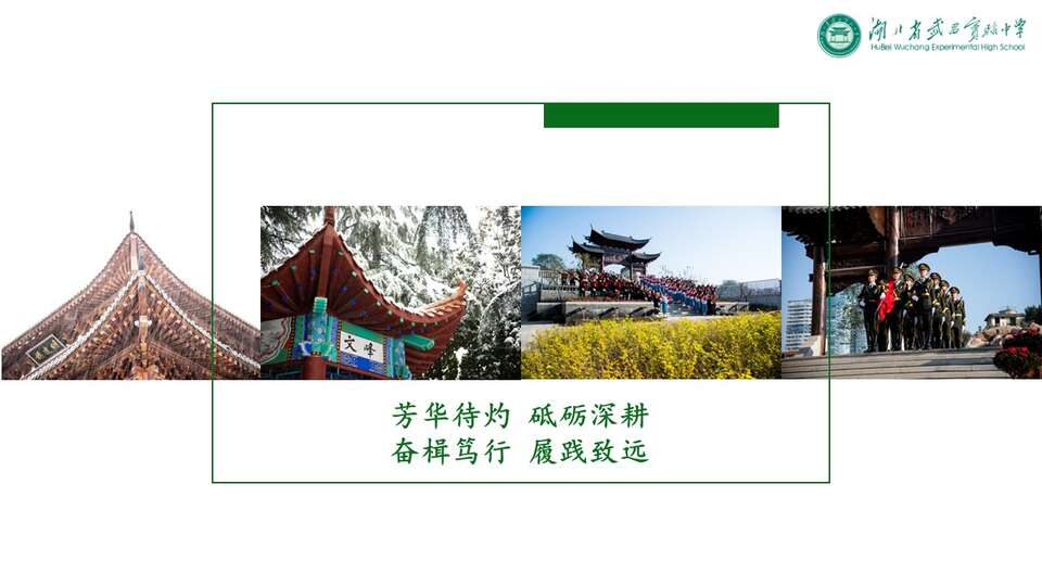 【优质课件+评课课件】化学反应条件选择与化学反应条件优化