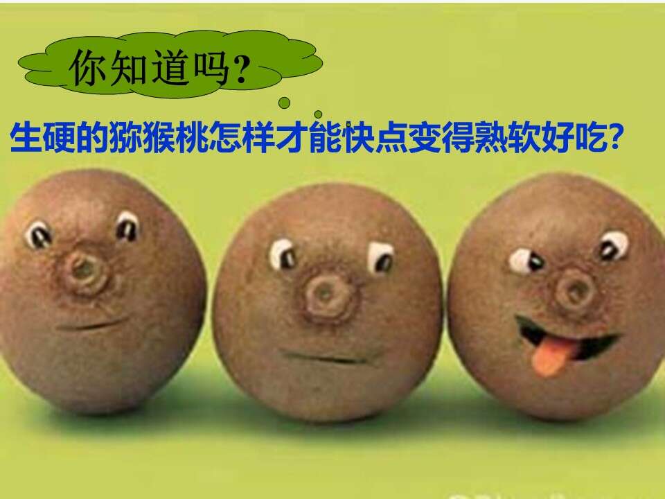 全国高中化学说课大赛课题《来自石油和煤的两种基本化工原料-乙烯》延边第二中学宋艳丽