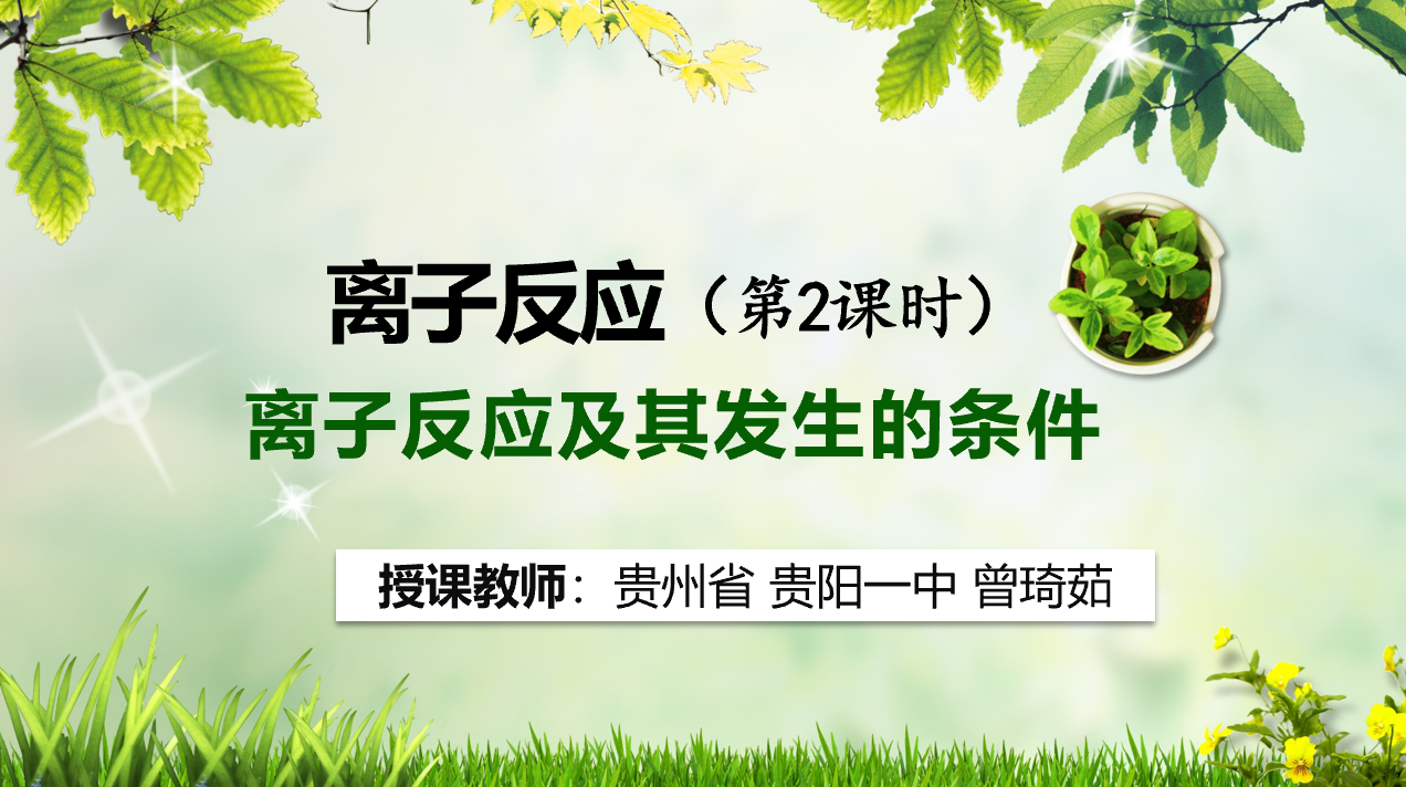 【优质课说课课件】《离子反应及其发生的条件》贵州省 贵阳一中 曾琦茹