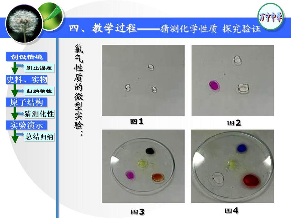【说课稿+说播课课件】全国高中化学优质课竞赛《富集在海水中的元素 氯》海南省万宁中学  苏玉容