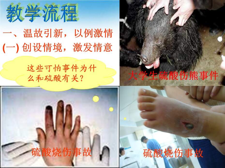 【说课稿+说课课件】全国高中化学优质课竞赛《硫酸》包头市田家炳中学顾萍
