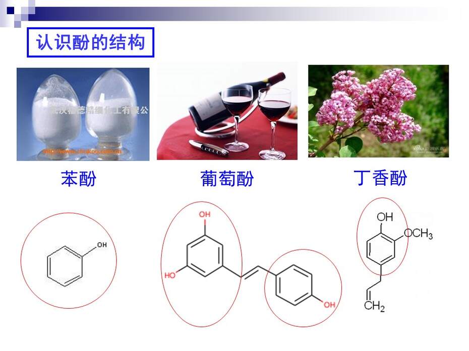 【说课稿+说课课件】全国高中化学优质课竞赛《苯酚》洛阳市第五十八中学 谢康龙
