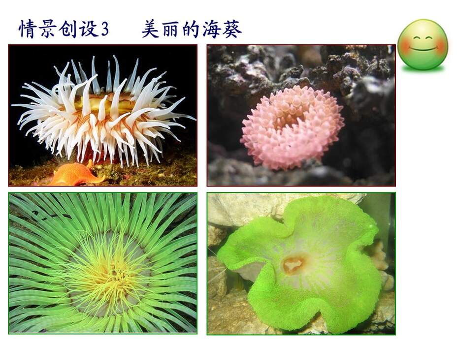 【说课稿+说课课件+教学设计】全国高中化学优质课竞赛《有机合成》天津市耀华中学王健伟