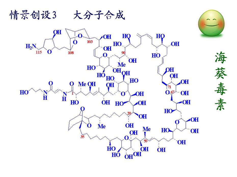 【说课稿+说课课件+教学设计】全国高中化学优质课竞赛《有机合成》天津市耀华中学王健伟