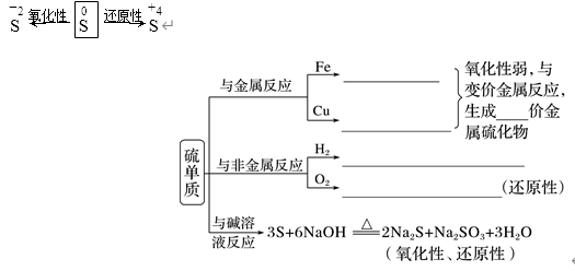 【导学案】2024年高考化学一轮复习学案第22讲硫及其氧化物word版含答案解析