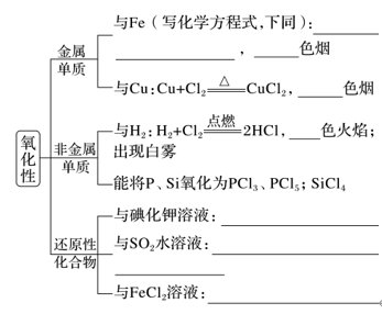 【精练】专题12氯及其重要化合物-2024学年解密高考化学大一轮复习配套新教材新高考解析版