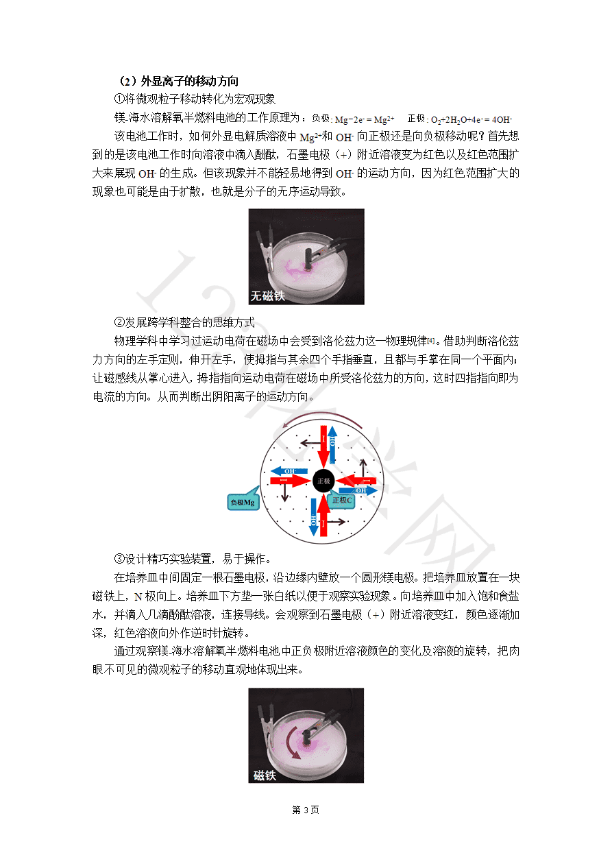 【说播课】第八届全国高中化学实验创新说课大赛《燃料电池的实验探究》