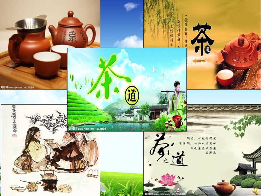 【说播课】全国高中化学说课大赛说课课题《探究铁及其化合物的氧化性或还原性》宁夏育才中学 赵娟娟