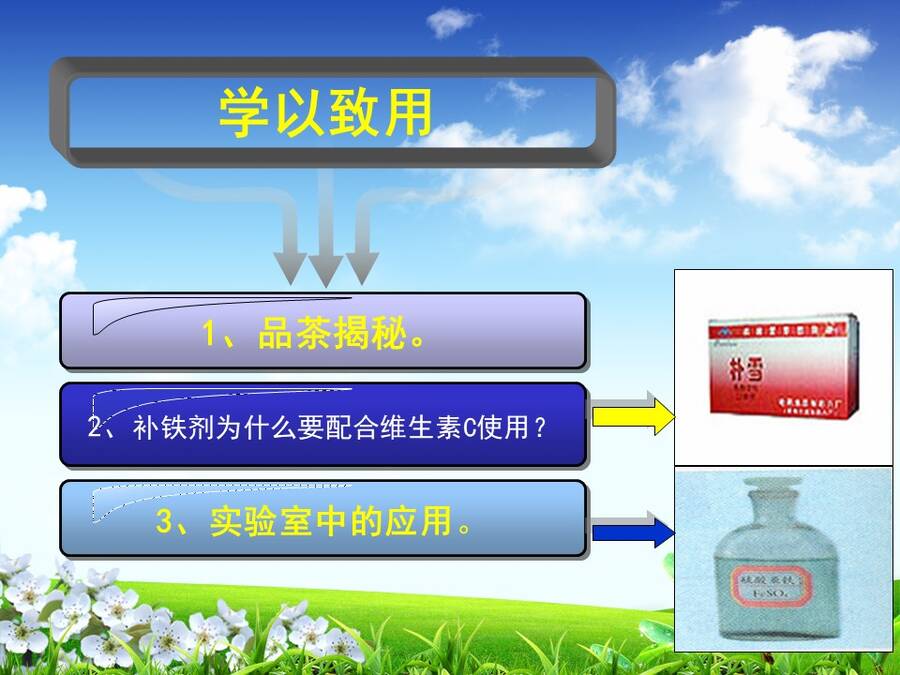 【说播课】全国高中化学说课大赛说课课题《探究铁及其化合物的氧化性或还原性》宁夏育才中学 赵娟娟