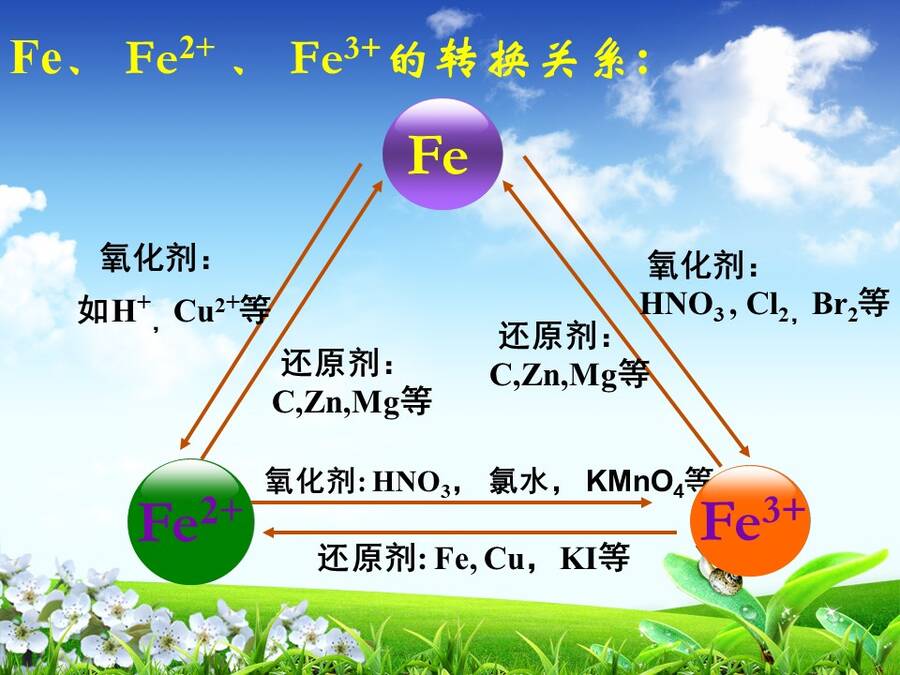 【说播课】全国高中化学说课大赛说课课题《探究铁及其化合物的氧化性或还原性》宁夏育才中学 赵娟娟