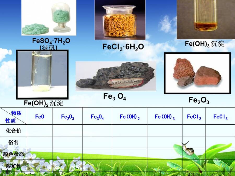 【说播课】全国高中化学说课大赛说课课题《探究铁及其化合物的氧化性或还原性》宁夏育才中学 赵娟娟