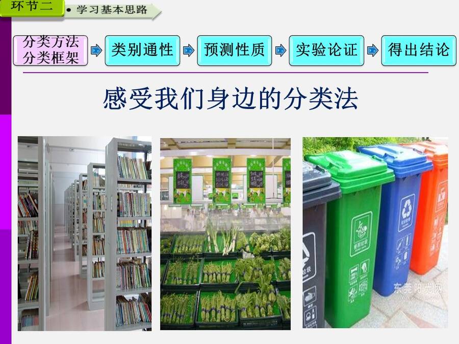 【说播课】全国高中化学说课大赛说课课题《物质的分类》广西柳铁一中 唐震