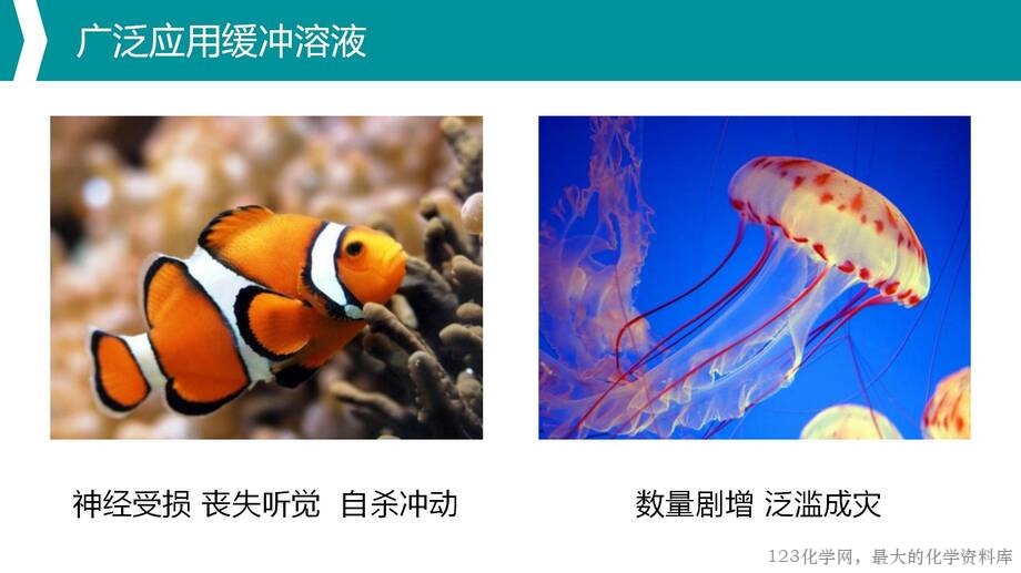 优质课人教版选择性必修1第三章《水溶液中的离子反应与平衡》大单元教学第三课时《缓冲溶液》