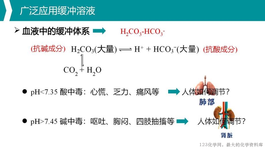 优质课人教版选择性必修1第三章《水溶液中的离子反应与平衡》大单元教学第三课时《缓冲溶液》