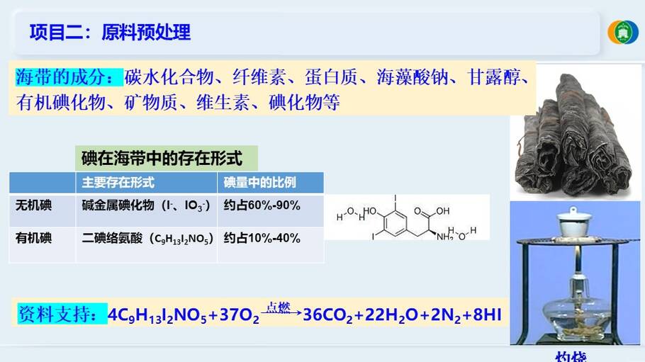优质课件《海带提碘与海水提溴—体验元素性质递变规律的实际应用》山东东营一中 徐文文